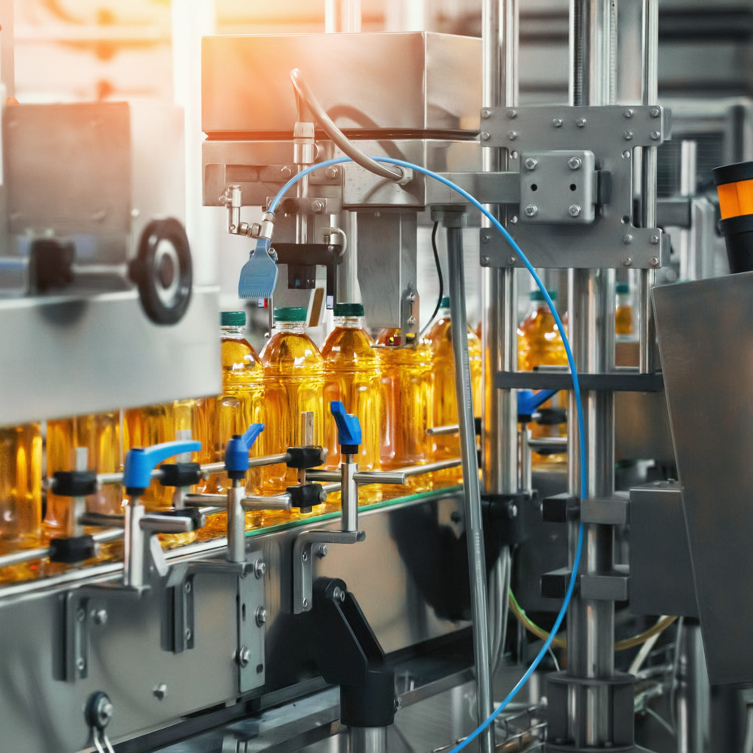 Automated bottling line in food and beverage processing facility